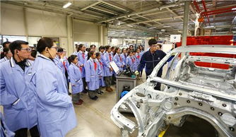 义乌泓宝行 技术开发的创新驱动与行业贡献